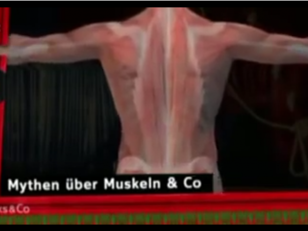 Faszien video
