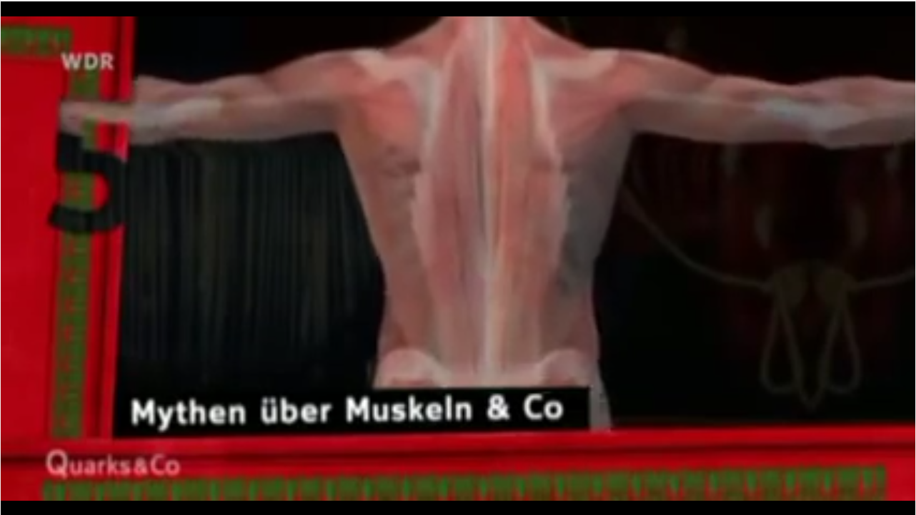 Faszien video